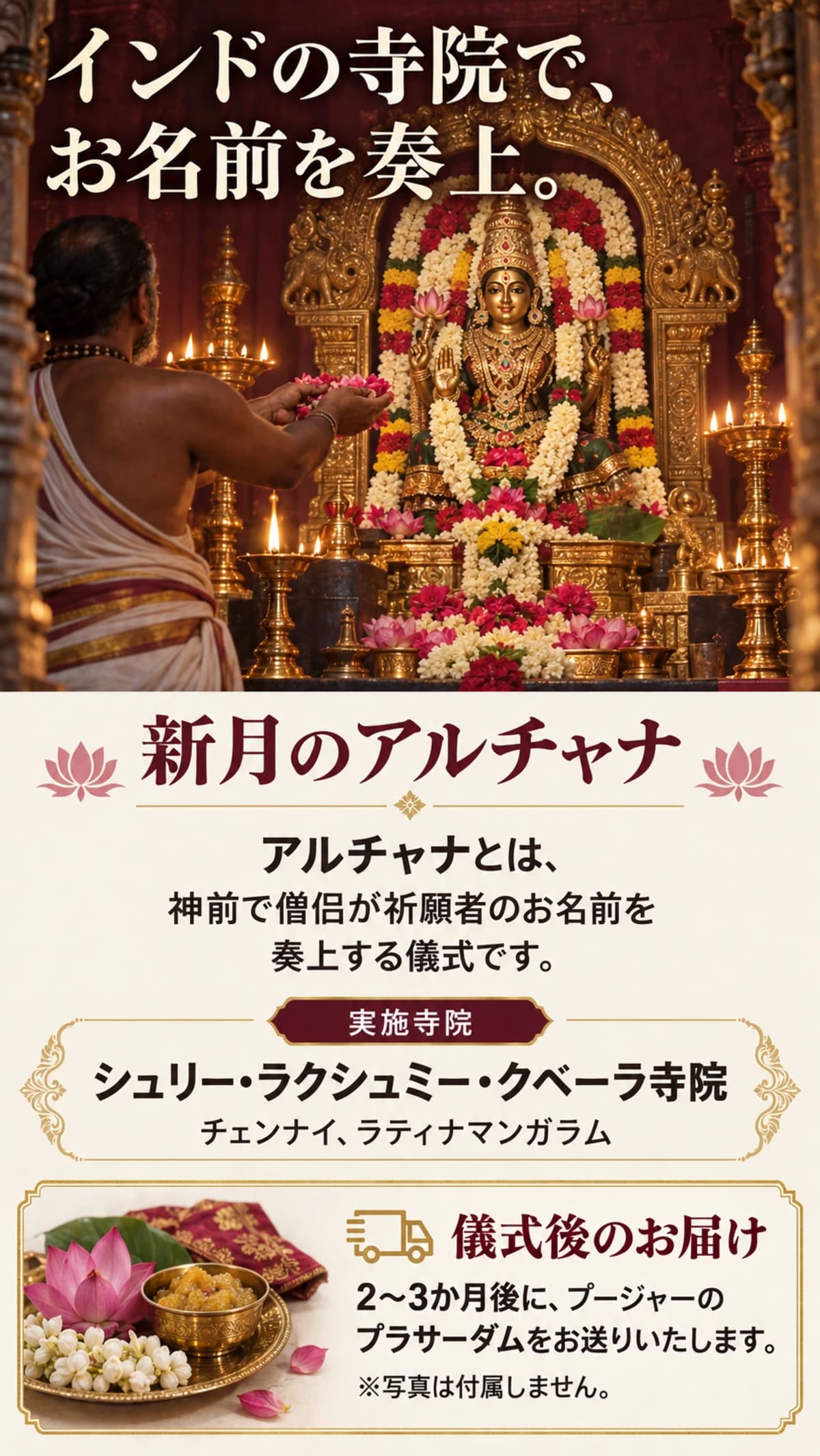 ����꡼���饯����ߡ������١�������ʥ�����ʥ�����ƥ��ʥޥ󥬥��ˤǤο���Υ������ʤȡ��ץ饵������Τ��Ϥ�����