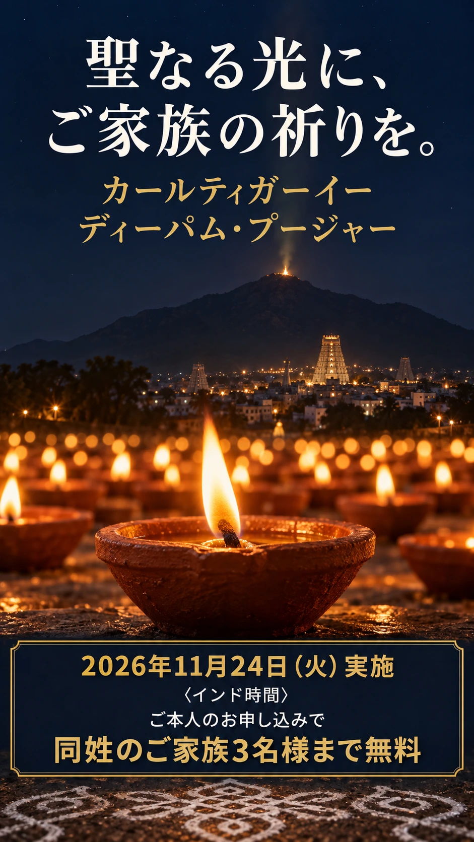 �ƥ��������ʡ��ޥ饤�ε֤�ĺ���������Фȡ�̵�����ǾƤ��Υ��פ�������λ�����Į�����ʤ���ˡ�����²�ε���򡣥�����ƥ������������ǥ����ѥࡦ�ס����㡼 2026ǯ11��24���ʲС˼»ܡҥ���ɻ��֡Ӥ��ܿͤΤ��������ߤǡ�Ʊ���Τ���²3̾�ͤޤ�̵��