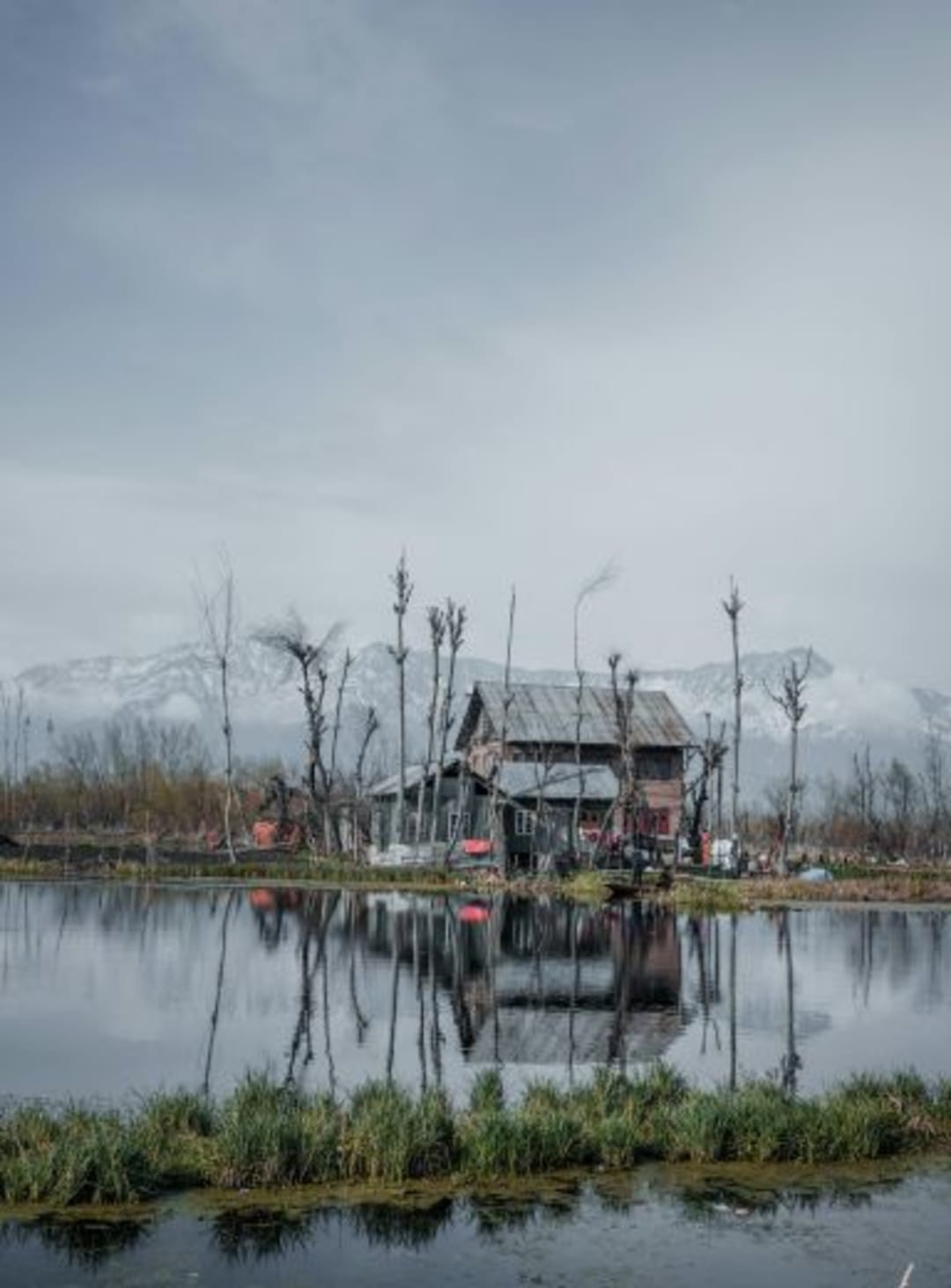 kashmir