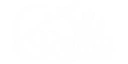 Rama Overseas Visa Consultant Logo