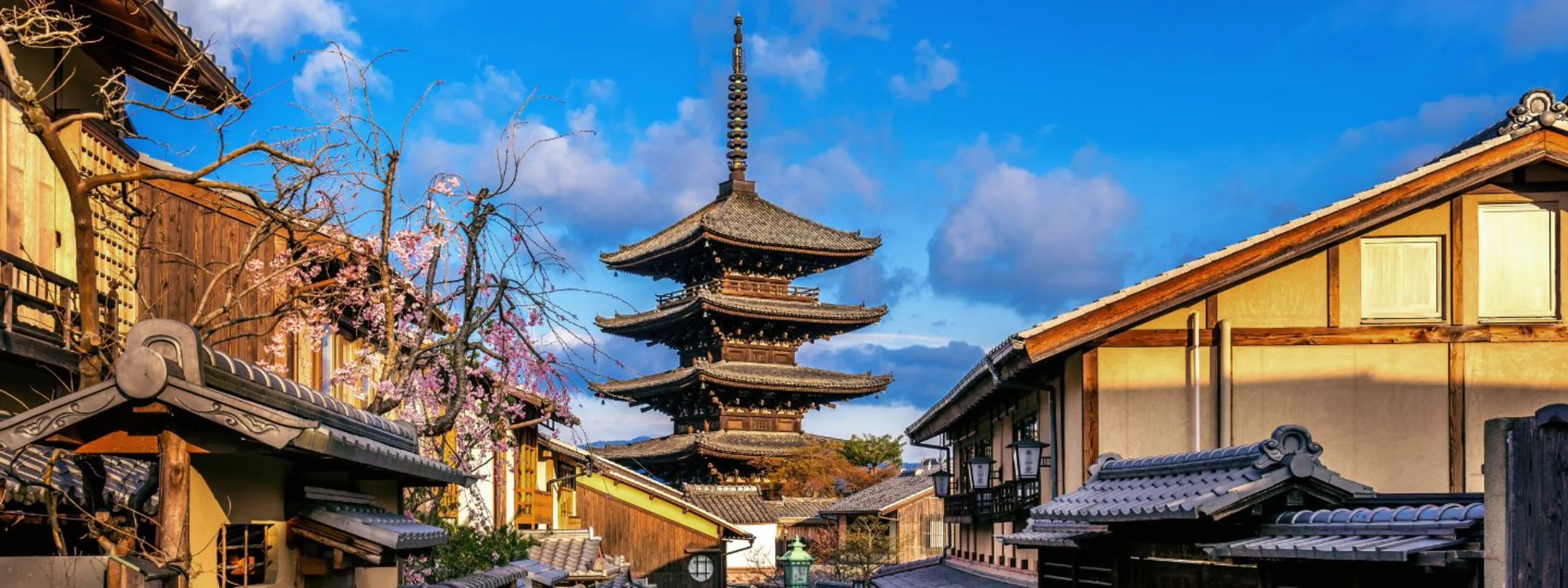 Japan Tourist Visa and Tour Packages from India