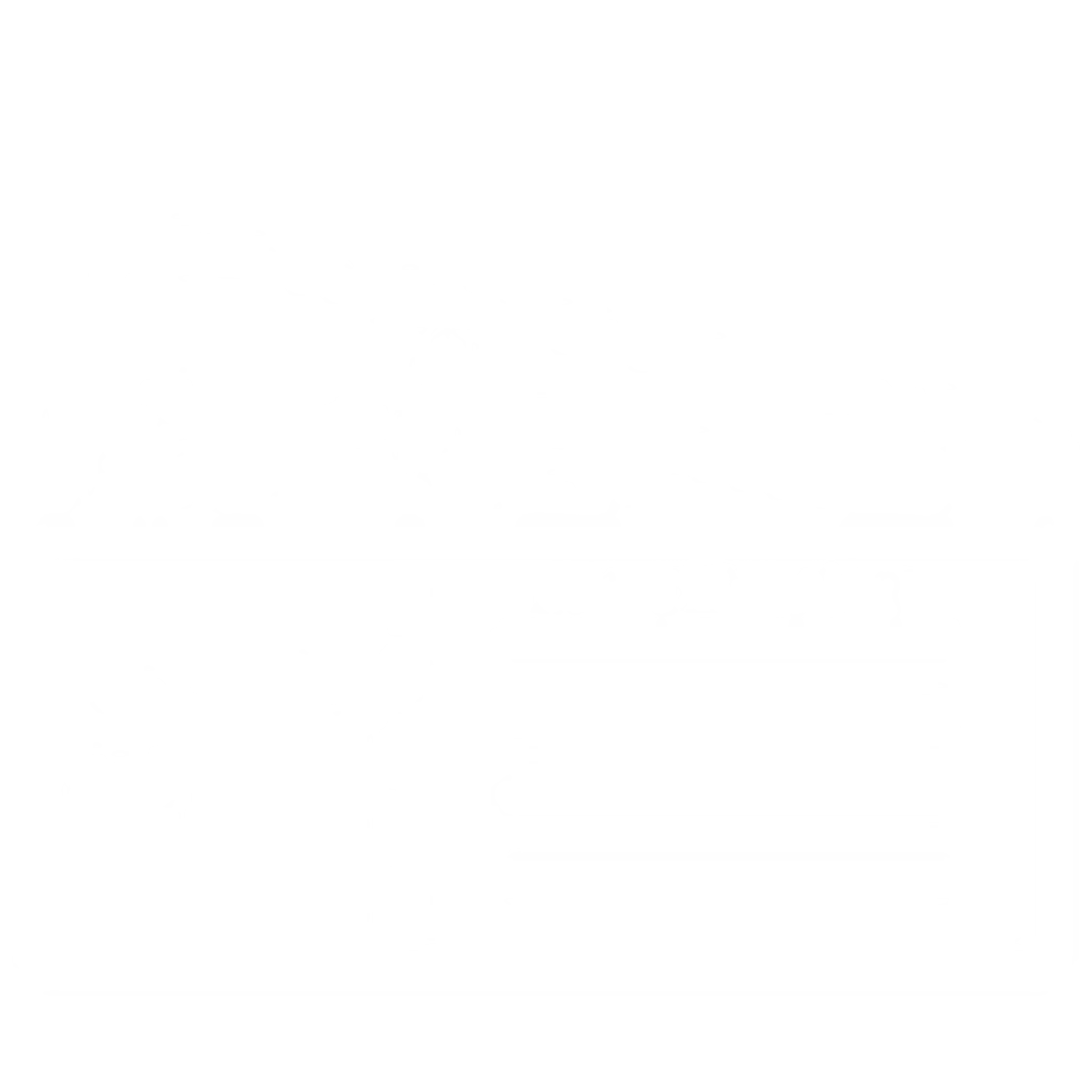 visa4