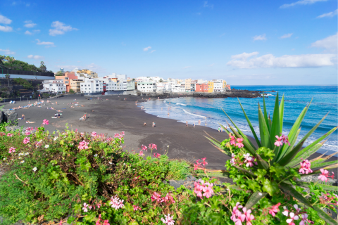 lavida travel gran canaria