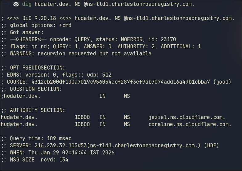 Dig hudater.dev NS output