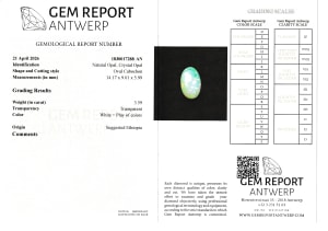 Opal 3