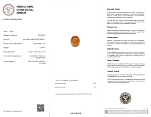 Spessartite Garnet 3