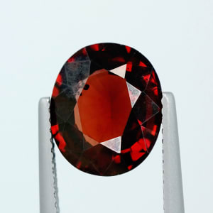 Pyrope-Almandite Garnet 4