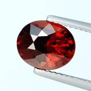Pyrope-Almandite Garnet 5