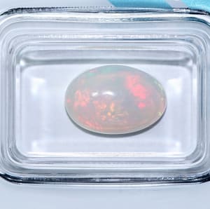 Opal 6