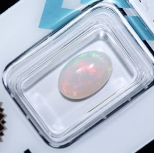 Opal 8
