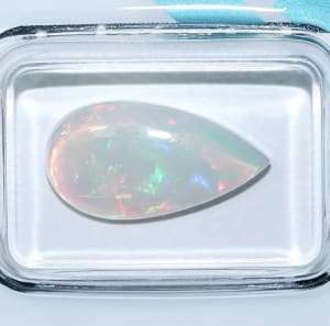 Opal 6