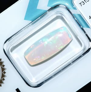 Opal 8