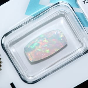 Opal 8