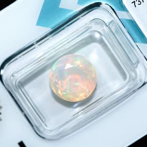 Opal 8