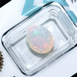 Opal 8