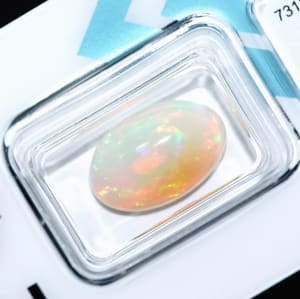 Opal 8