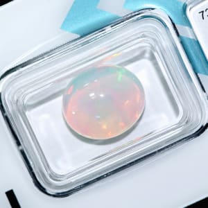 Opal 8