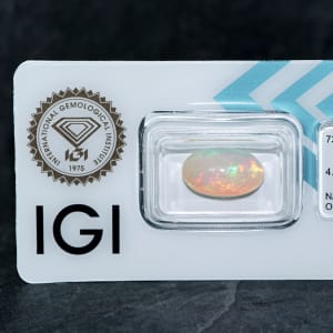 Opal 4