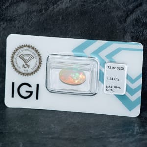 Opal 6
