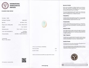 Opal 3
