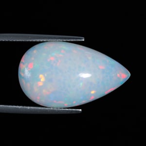 Opal 6