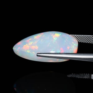 Opal 5