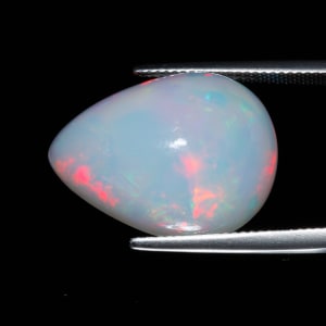 Opal 4