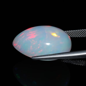 Opal 5