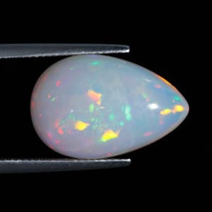 Opal 6