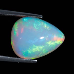 Opal 6