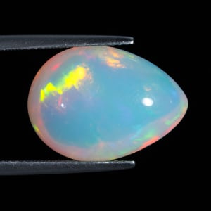 Opal 6