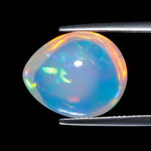 Opal 4