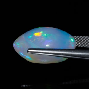 Opal 5