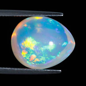 Opal 6