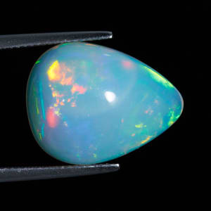 Opal 6