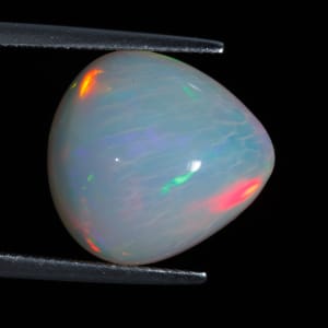 Opal 6