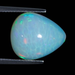 Opal 6