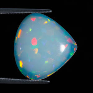 Opal 6