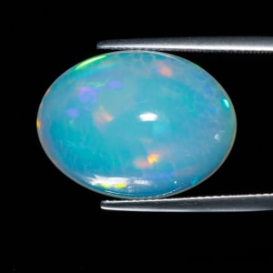 Opal 4