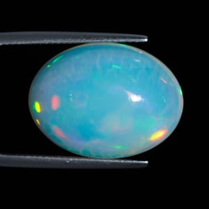 Opal 6