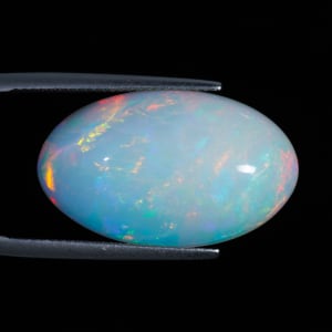 Opal 6
