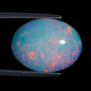 Opal 6