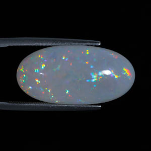 Opal 6