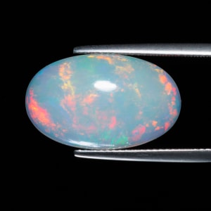 Opal 4