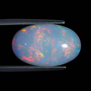 Opal 6