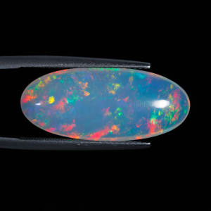 Opal 6