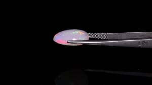 Opal 2