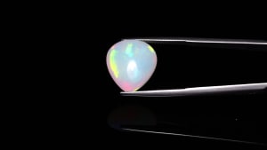 Opal 2