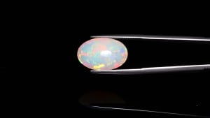 Opal 2