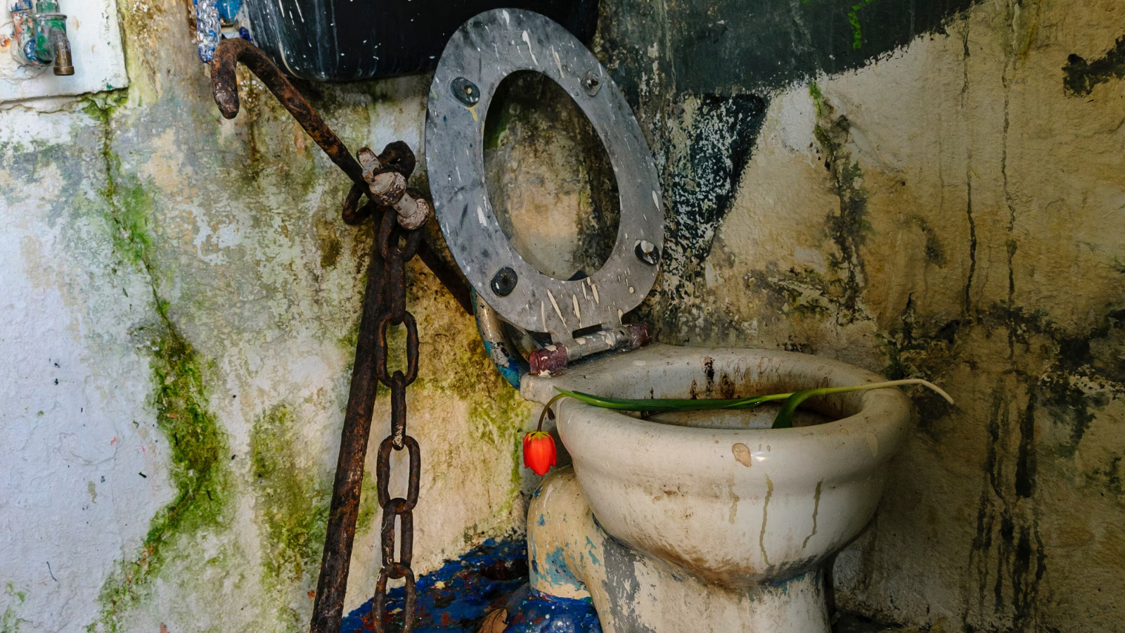 Toilet photo